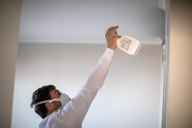 Best Same-Day Mold Removal  in Nicoma Park, OK