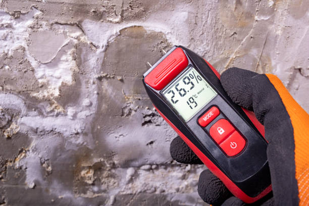 Best Water Damage Restoration  in Nicoma Park, OK