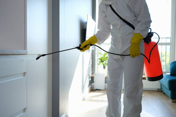 Best Fast Mold Removal  in Nicoma Park, OK