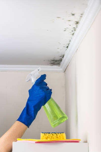 Best Mold Cleaning Services  in Nicoma Park, OK